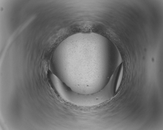 X0000057080037200509161615