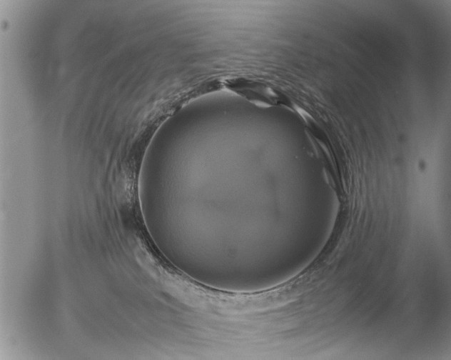 X0000057080039200509161615