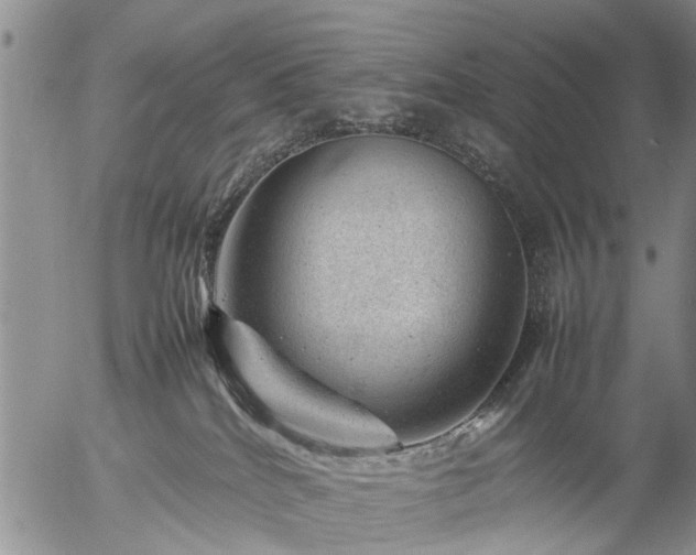 X0000057080040200509161615