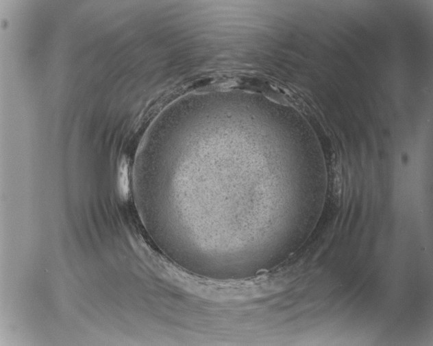 X0000057080042200509161615