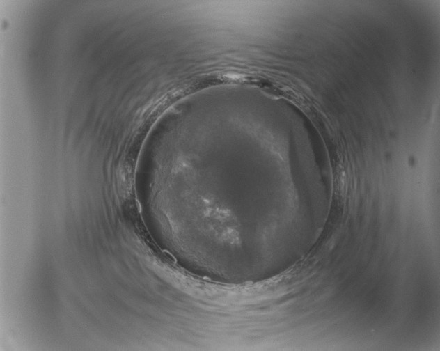 X0000057080043200509161615