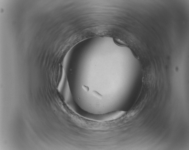 X0000057080044200509161615