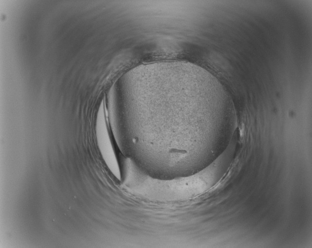 X0000057080045200509161615