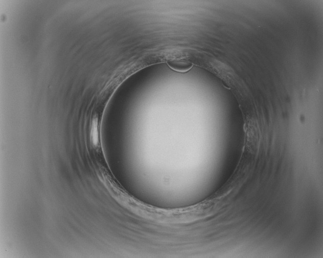 X0000057080046200509161615