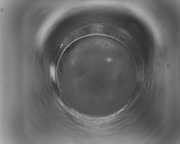 X0000057080047200509161615