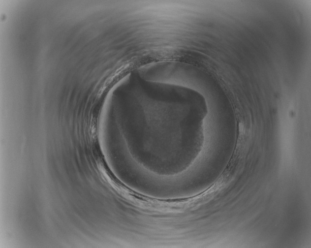 X0000057080048200509161615