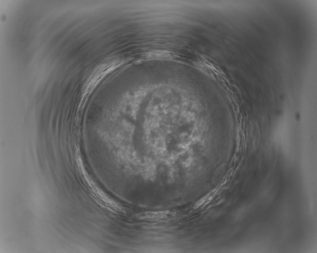 X0000057080049200509161614