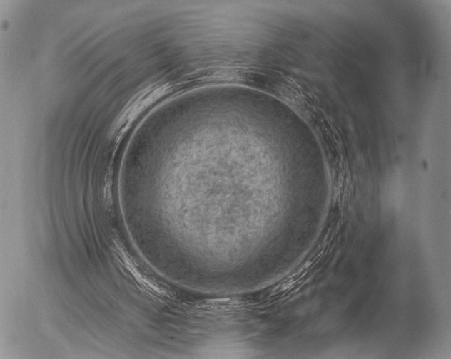 X0000057080050200509161614