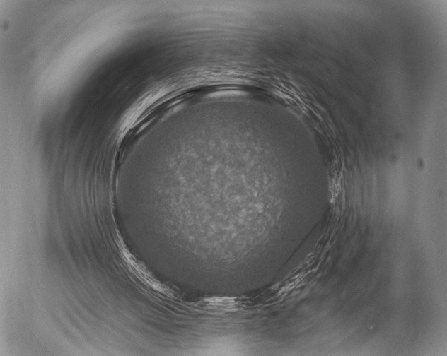 X0000057080052200509161614