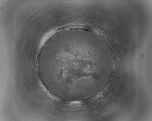 X0000057080053200509161614