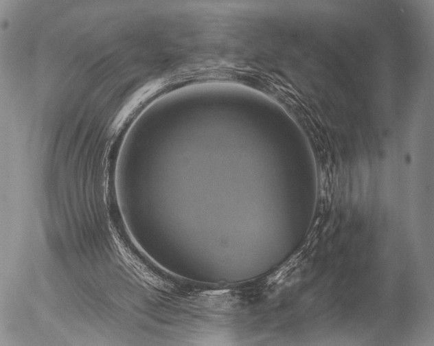 X0000057080054200509161614