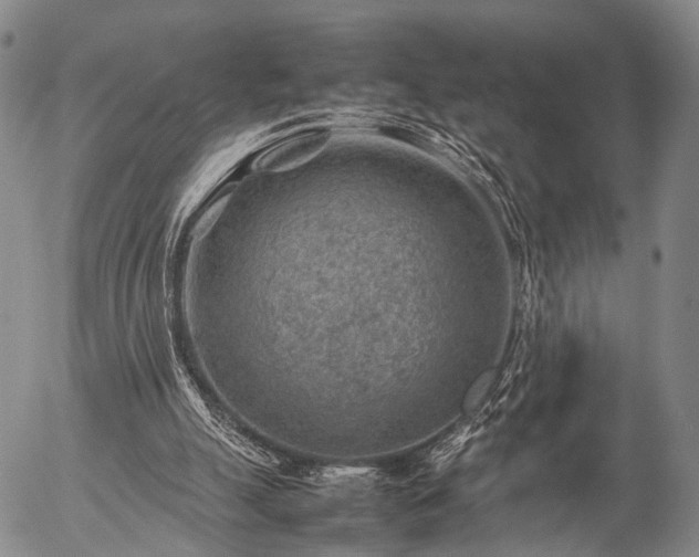 X0000057080055200509161614