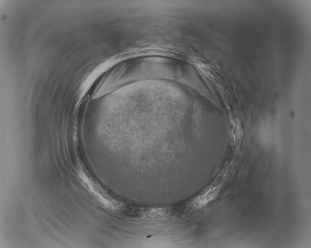 X0000057080056200509161614