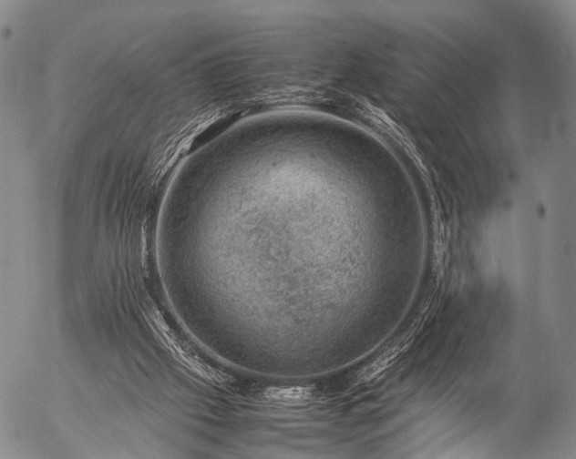 X0000057080057200509161614