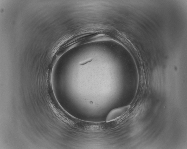 X0000057080058200509161614