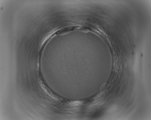 X0000057080059200509161614