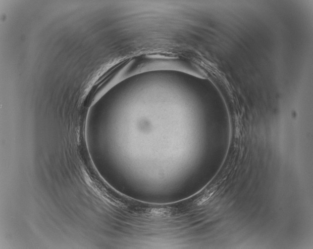 X0000057080060200509161614