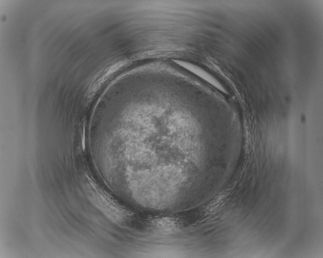 X0000057080062200509161614