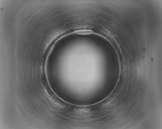 X0000057080063200509161614