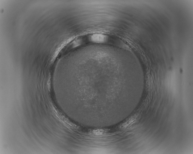 X0000057080064200509161614