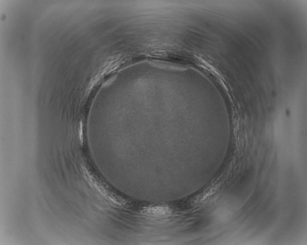 X0000057080067200509161614