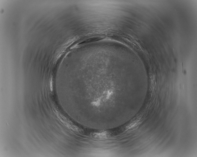 X0000057080068200509161614