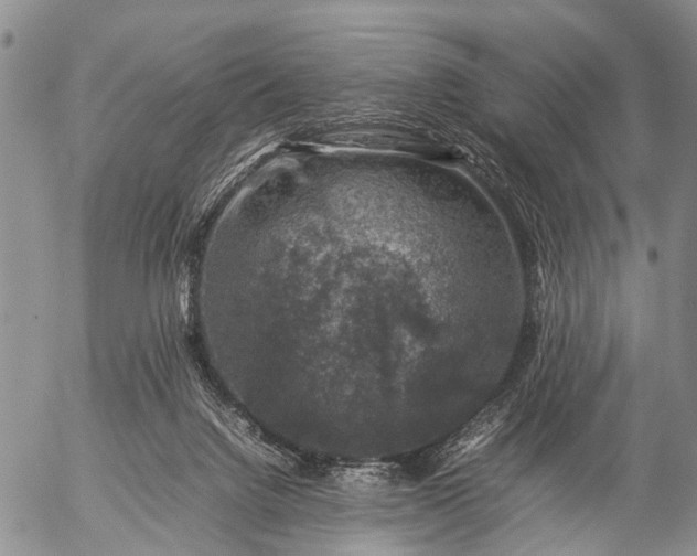 X0000057080072200509161615