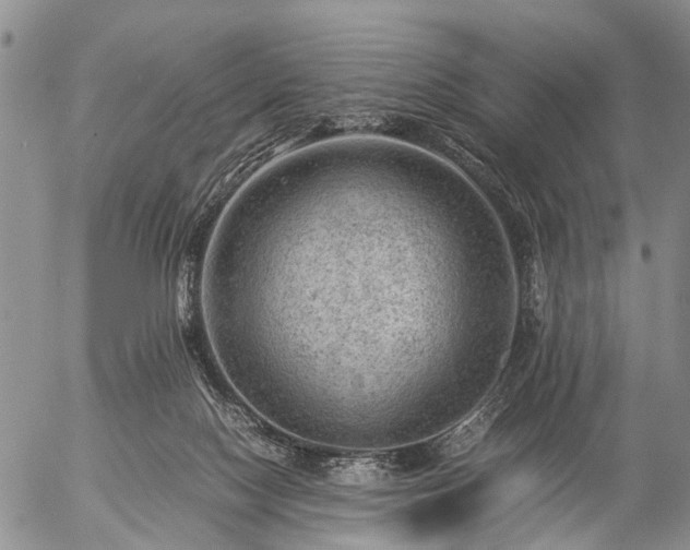 X0000057080074200509161615