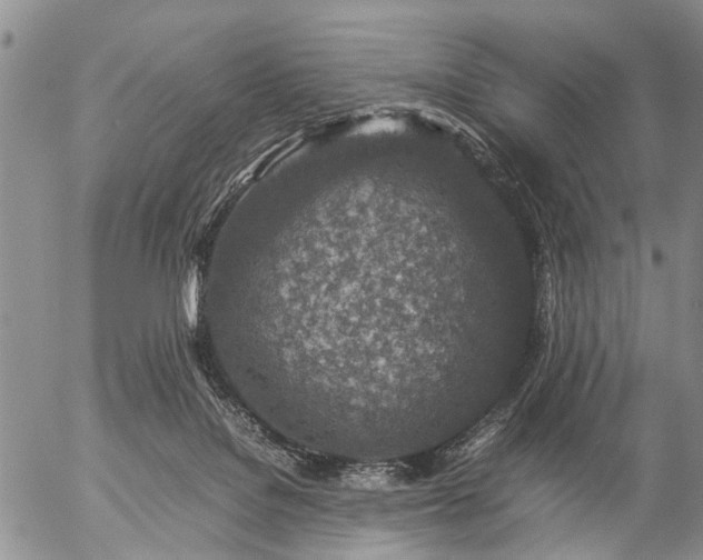 X0000057080076200509161615