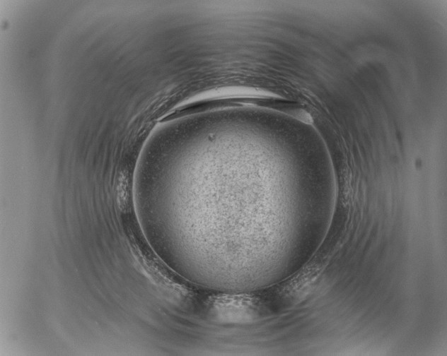 X0000057080077200509161615