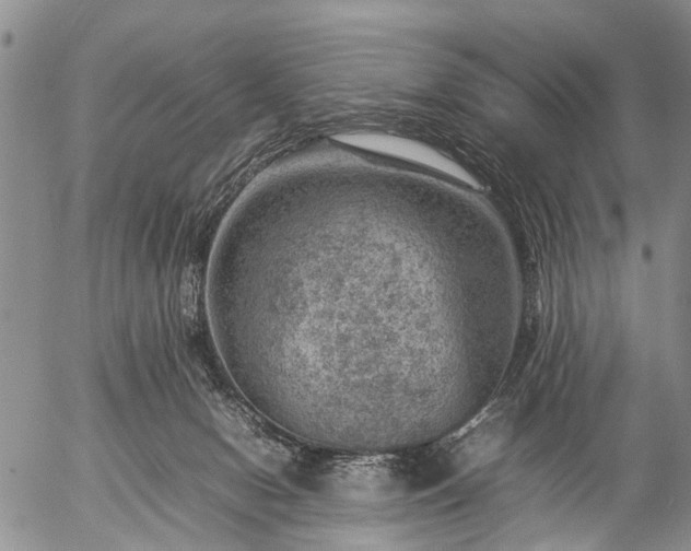 X0000057080078200509161615