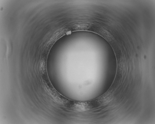 X0000057080079200509161615