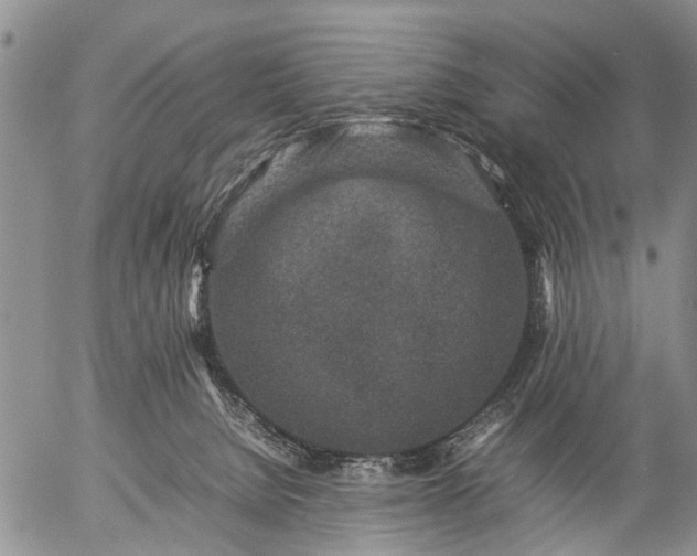 X0000057080080200509161615