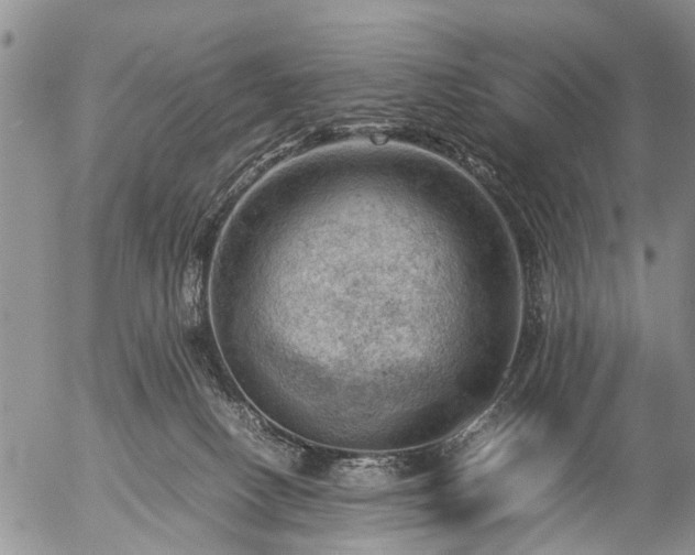 X0000057080082200509161615