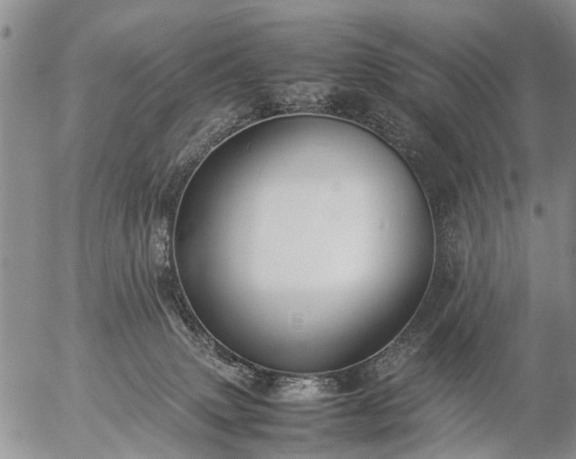 X0000057080083200509161615