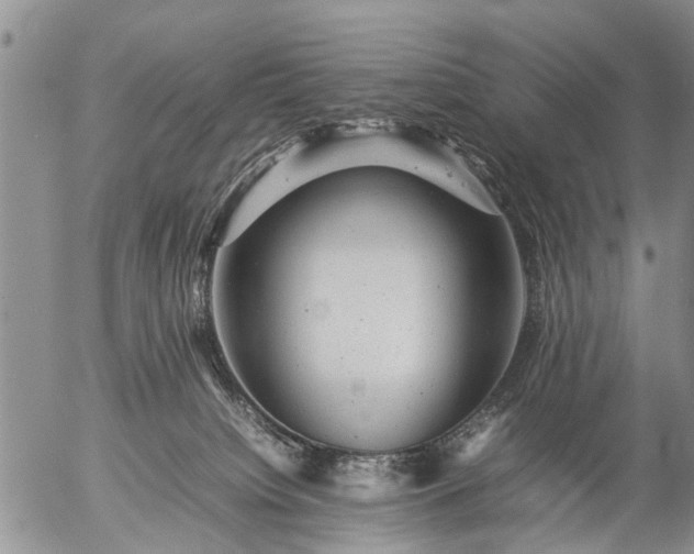 X0000057080084200509161615