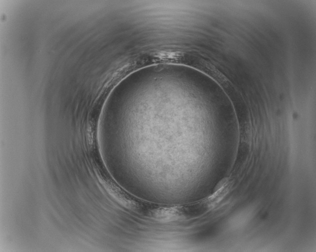 X0000057080086200509161615