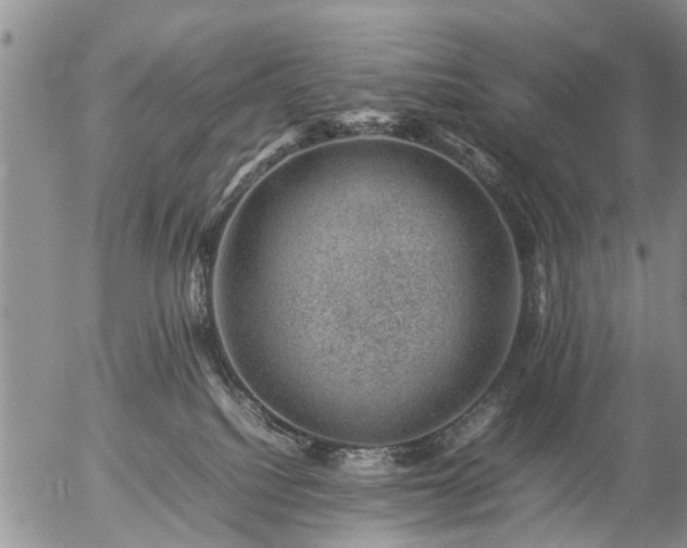 X0000057080088200509161615