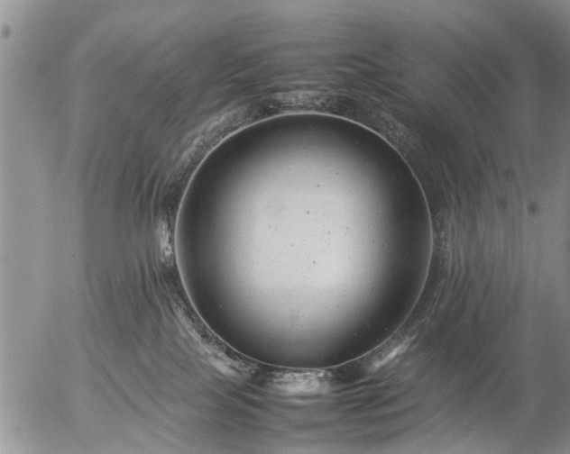 X0000057080089200509161615