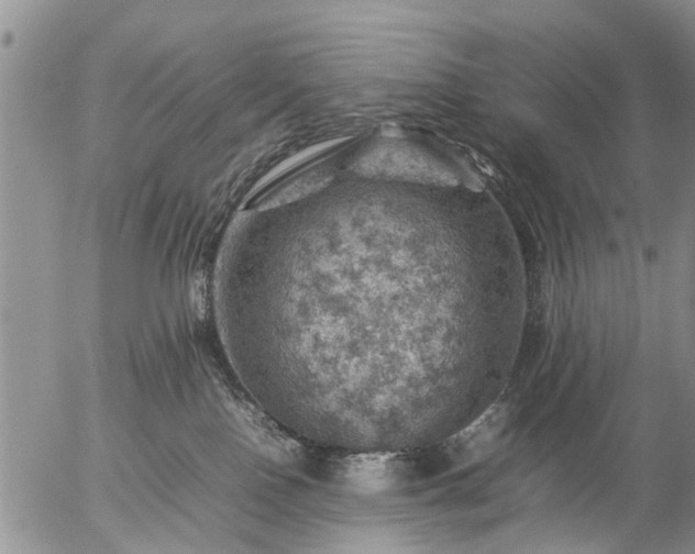 X0000057080090200509161615