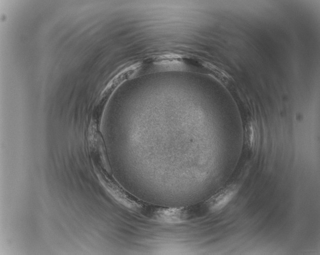 X0000057080092200509161615