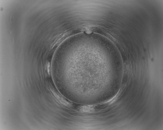 X0000057080094200509161615