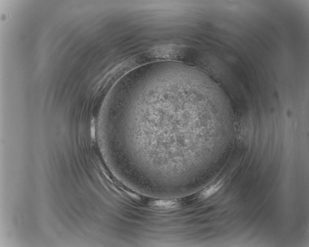 X0000057080095200509161615