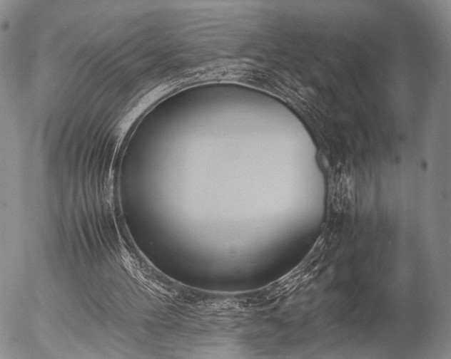 X0000057080100200509161614