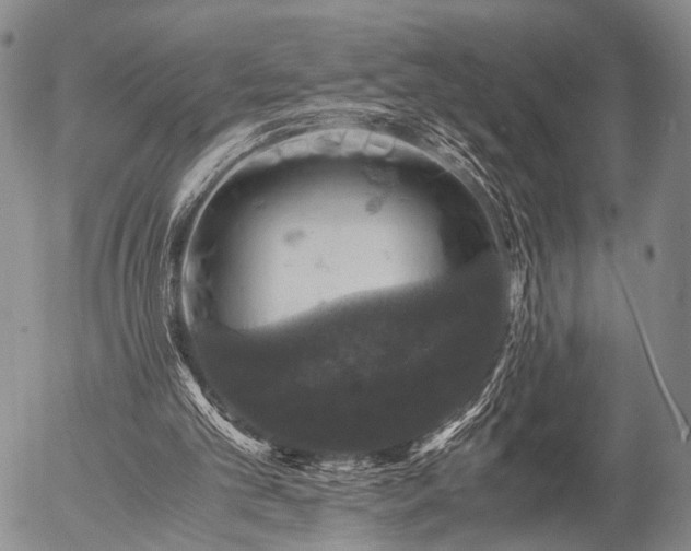 X0000057080101200509161614