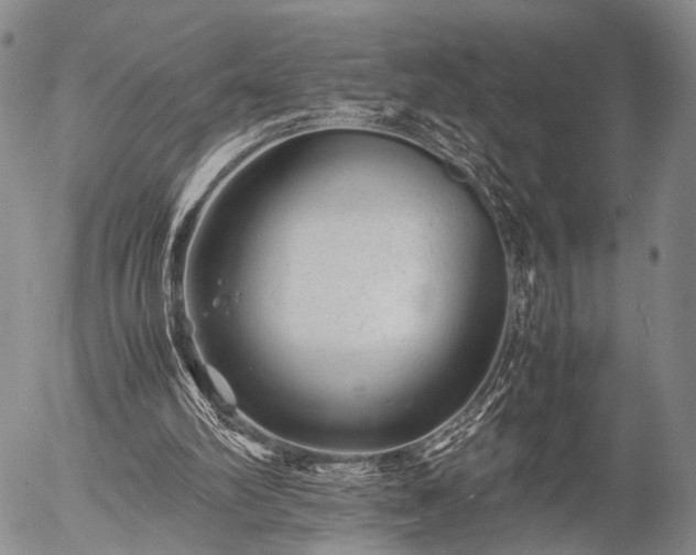 X0000057080102200509161614