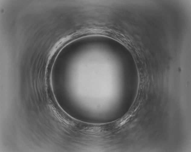 X0000057080104200509161614