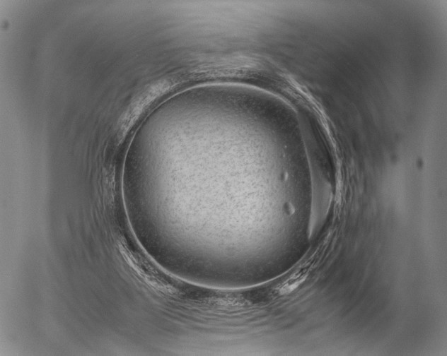 X0000057080107200509161614