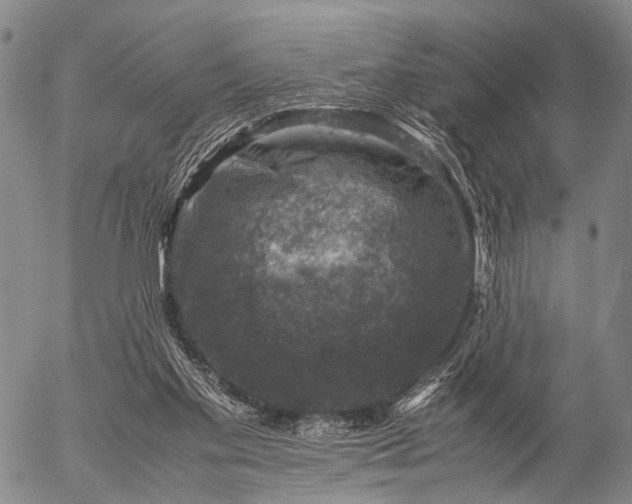 X0000057080109200509161614