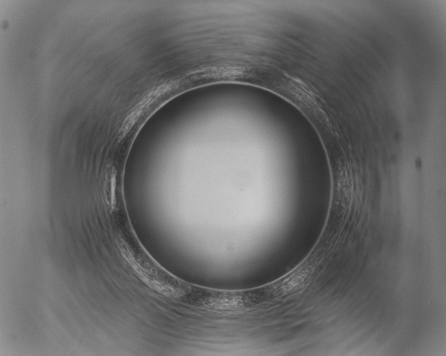 X0000057080110200509161614